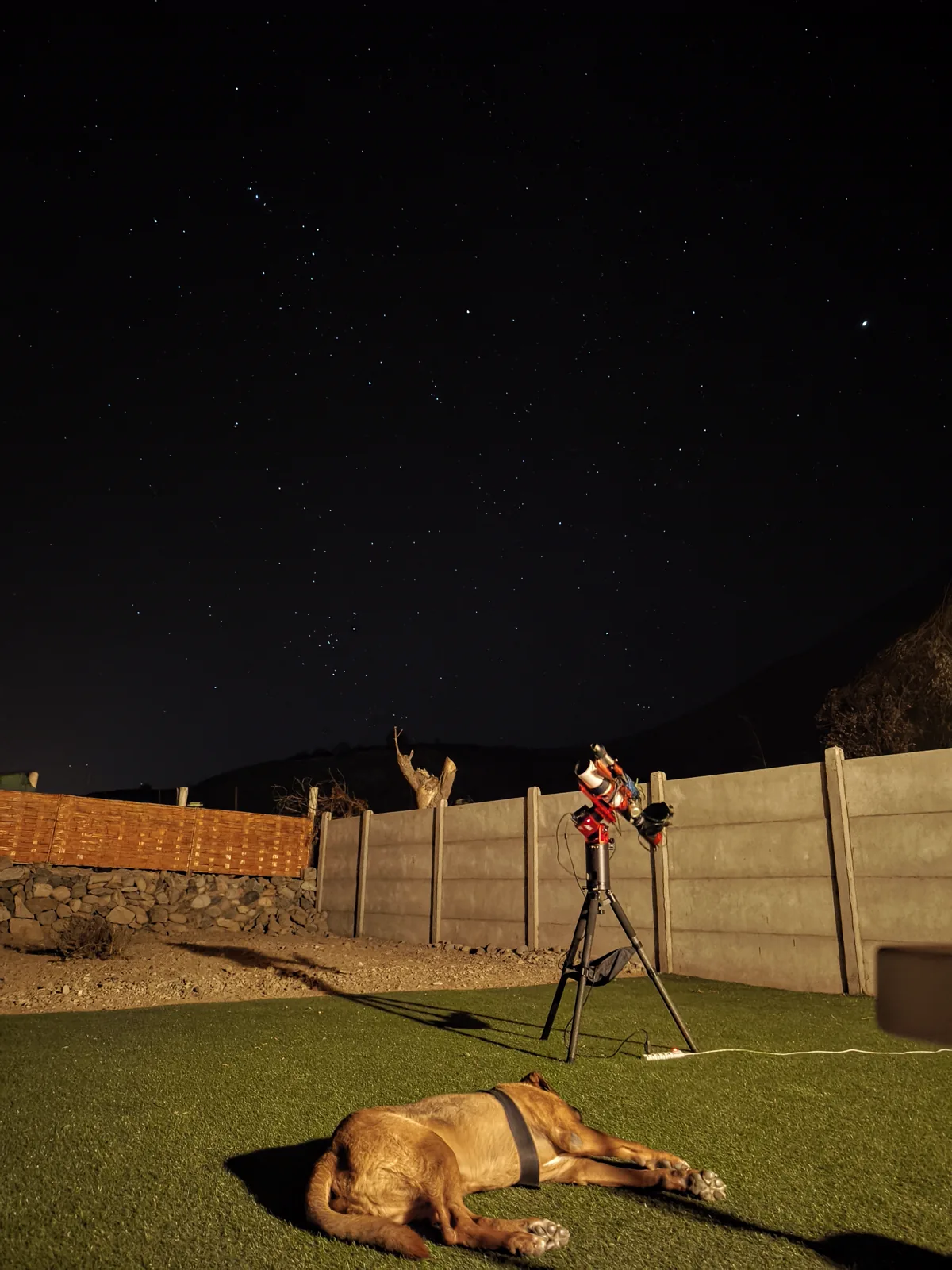 Noite de astrofoto, bem acompanhada