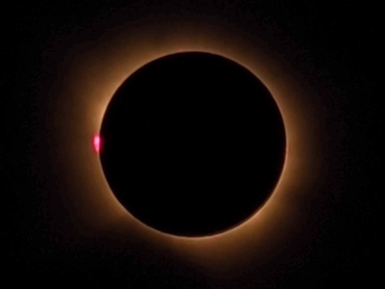 Totalidade, com proeminências solares (em rosa)